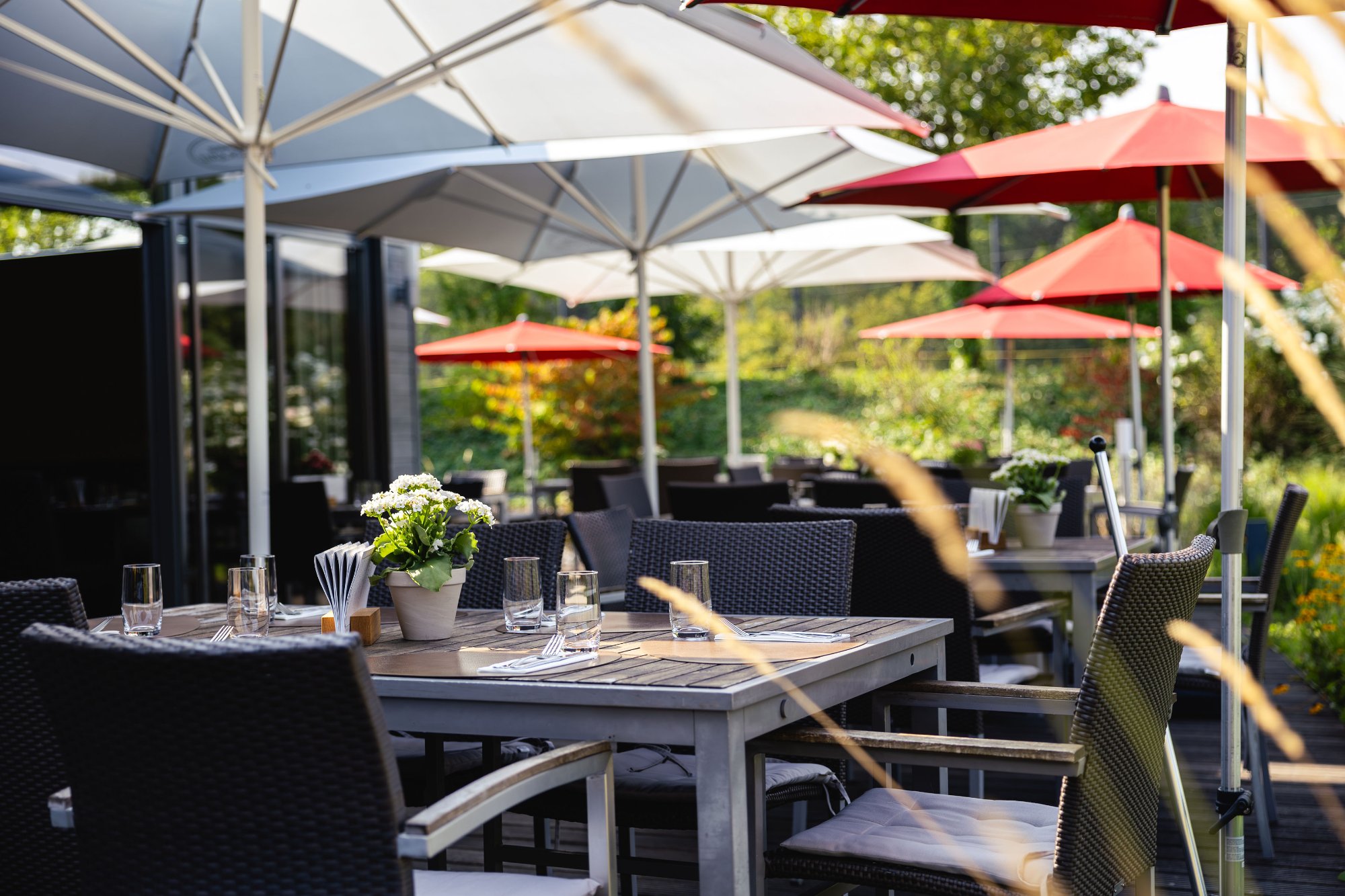 Gedeckte Tische unter Sonnenschirmen auf der Terrasse in Bad Homburg
